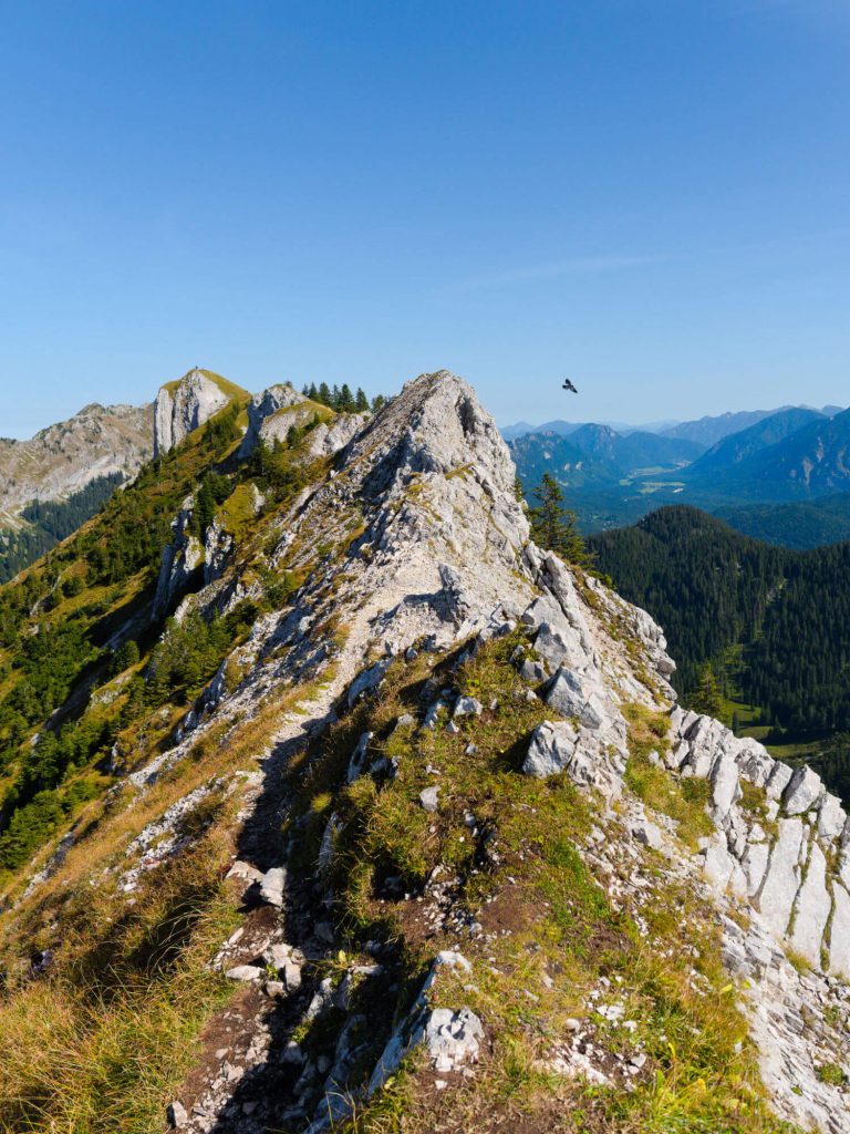 Hasentalkopf Ammergauer Alpen