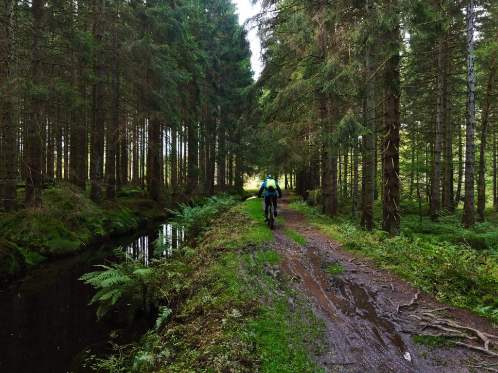 Mountainbiken Oberharzer Wasserregal Harz