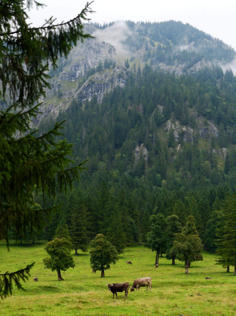 Wankerfleck wandelen Ammergauer Alpen bij Halblech